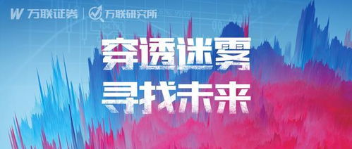 萬(wàn)聯(lián)證券年度A股投資策略報(bào)告 紡織服裝行業(yè)投資管理與咨詢深度解讀
